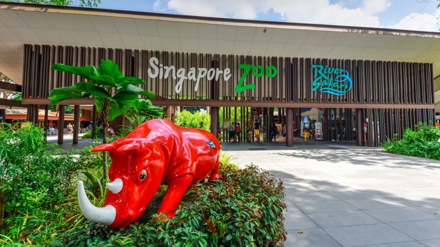 Singapur görülecek yerler Singapore Zoo
