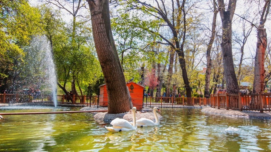 Kuğulu Park Ankara'da gezilecek yerler