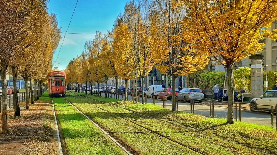 Citta Studi Milano şehir merkezi otel önerisi