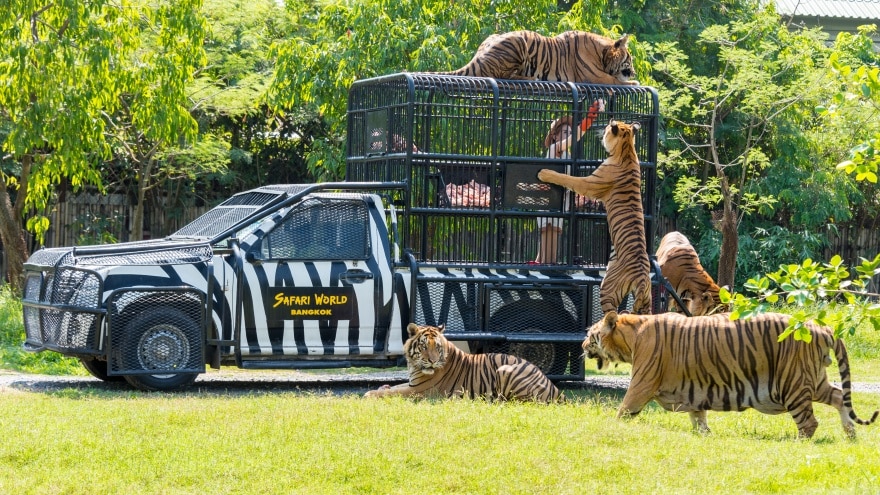 Safari World Bangkok'ta gezilmesi gereken yerler