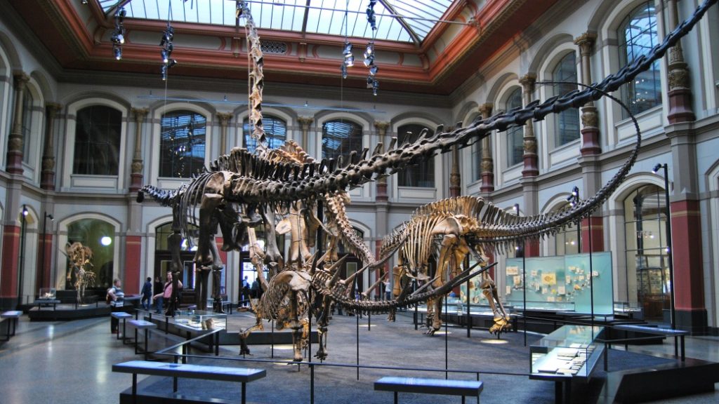 doga tarihi muzesi berlin Doğa Tarihi Müzesi – Dinozorların İzinde