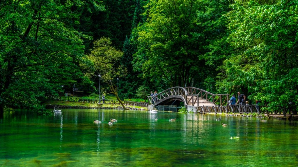 vrelo bosne saraybosna Vrelo Bosne – Saraybosna’nın doğayla buluştuğu huzurlu kaynak