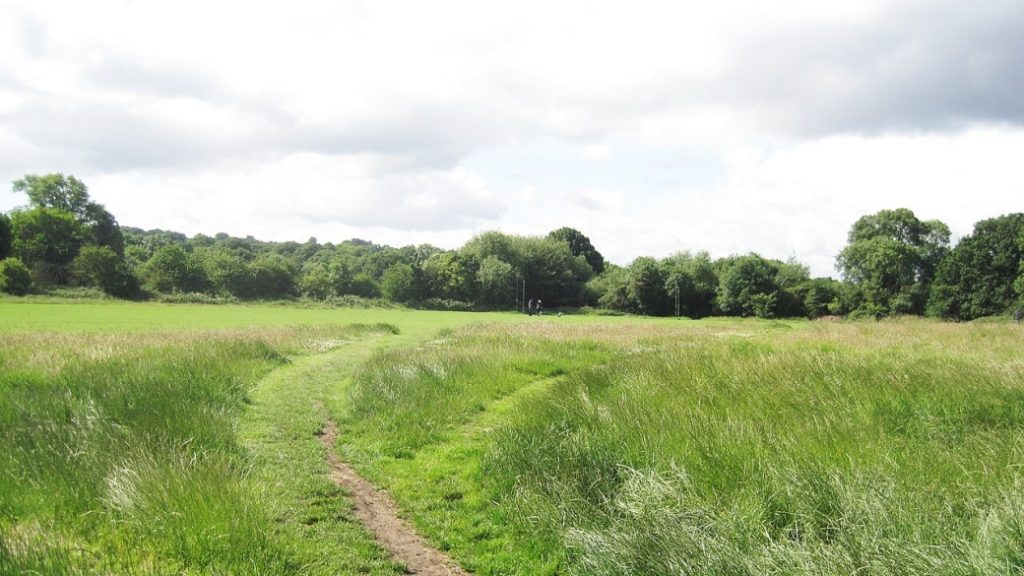 Hampstead Heath – Doğayla iç içe yürüyüş rotaları