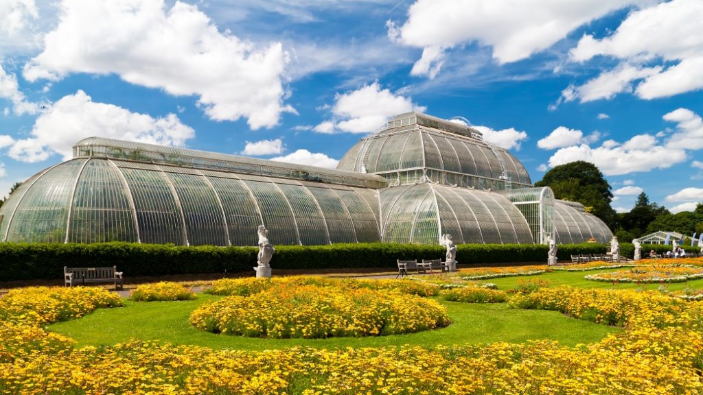 Kew Botanik Bahçeleri – Dünya çapında bitki çeşitliliği