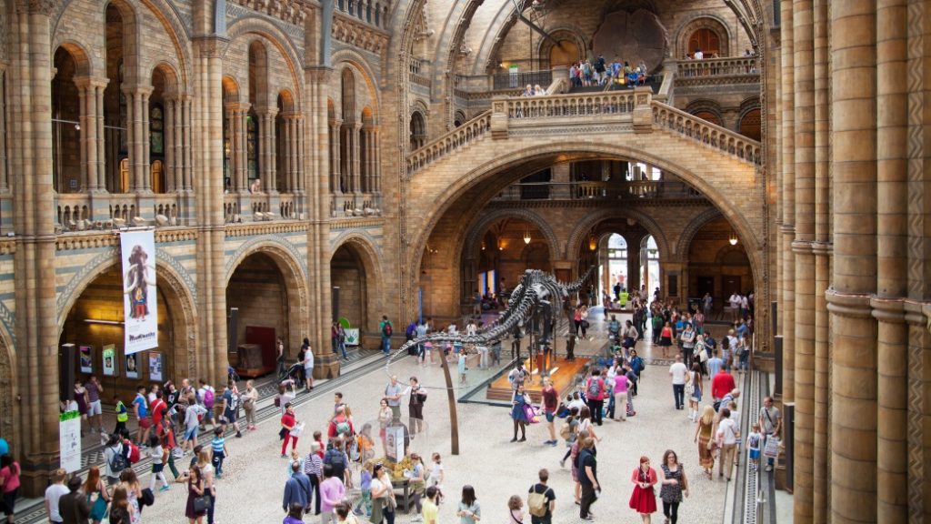 Natural History Museum – Bilim ve doğa tarihi meraklıları için ideal durak