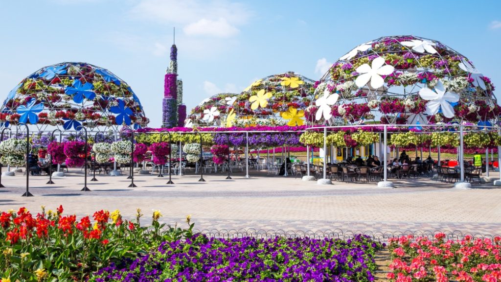 Dubai Miracle Garden – Çöl ortasında çiçek cenneti
