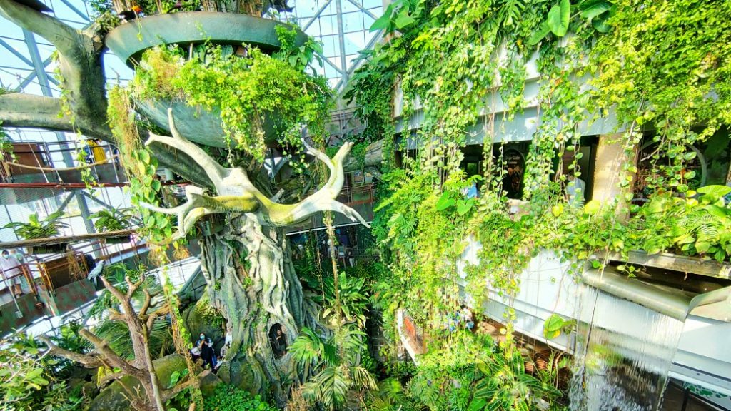 The Green Planet – Dubai’de tropikal yağmur ormanı