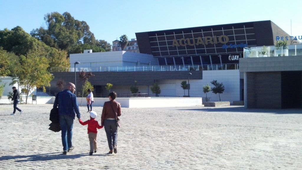 acuario de sevilla Acuario de Sevilla – Nehirden okyanusa bir yolculuk