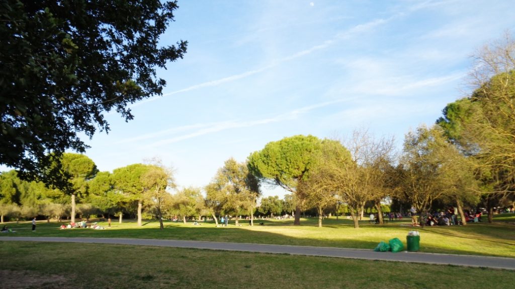 alamillo parki sevilla Alamillo Parkı – Şehrin doğayla buluştuğu alan