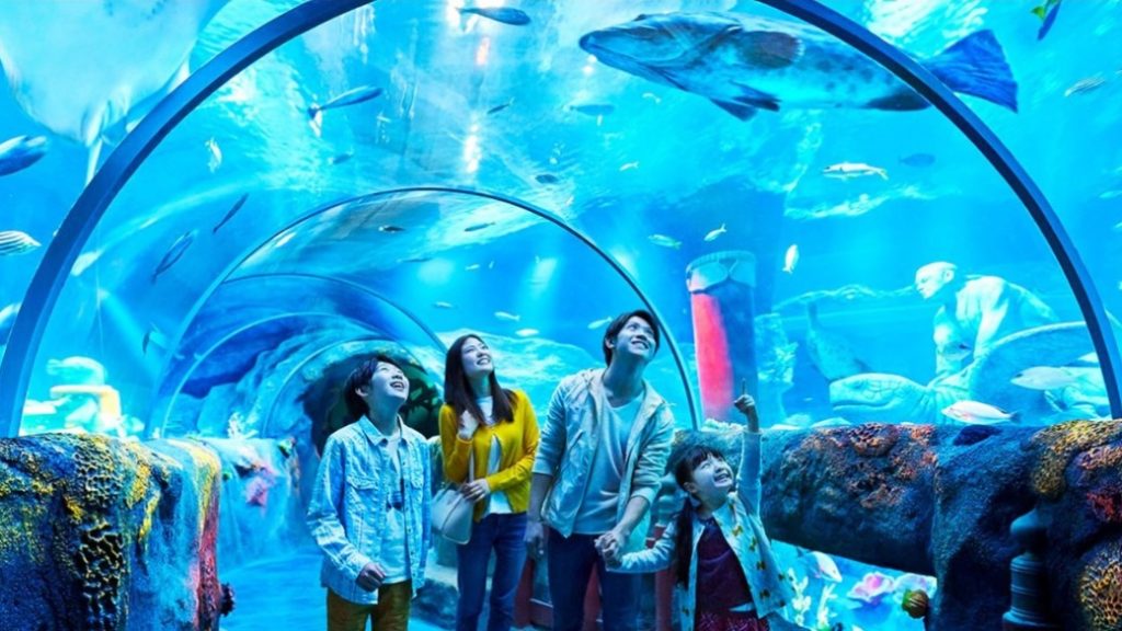 sea life porto SEA LIFE Porto – Deniz altı dünyasına yolculuk