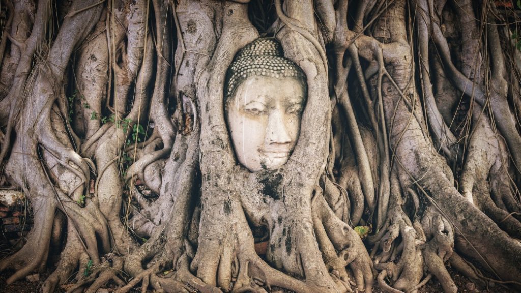 ayutthaya bangkok Ayutthaya – Antik başkent