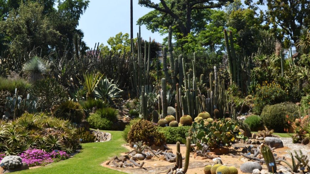 Orto Botanico – Yeşil bir mola