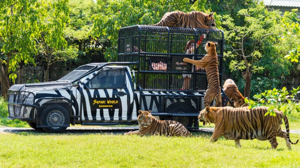 safari world bangkok Safari World – Bangkok’un açık hava hayvanat bahçesi