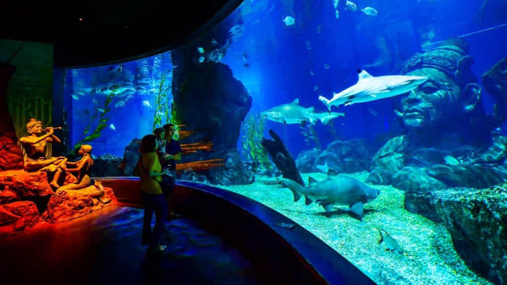 sea life bangkok ocean world Sea Life Bangkok – Dev akvaryum dünyası