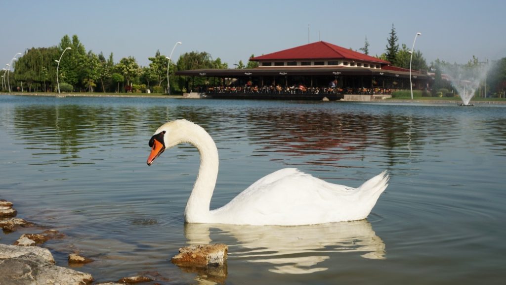 Kentpark – Geniş yeşil alan