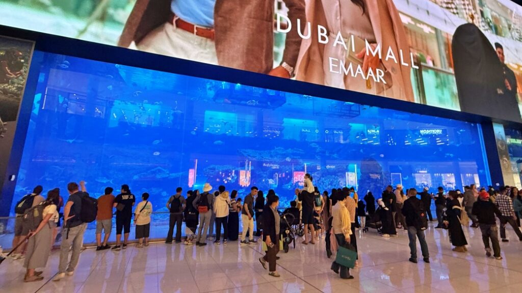 dubai aquarium underwater zoo Dubai Aquarium – Dev cam tünelde deniz altı keşfi