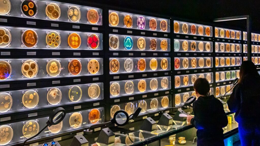 micropia amsterdam Micropia – Mikrop dünyasını keşfedin