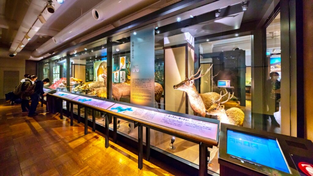 national museum nature science tokyo Doğa ve Bilim Müzesi – Eğitici ve eğlenceli keşif