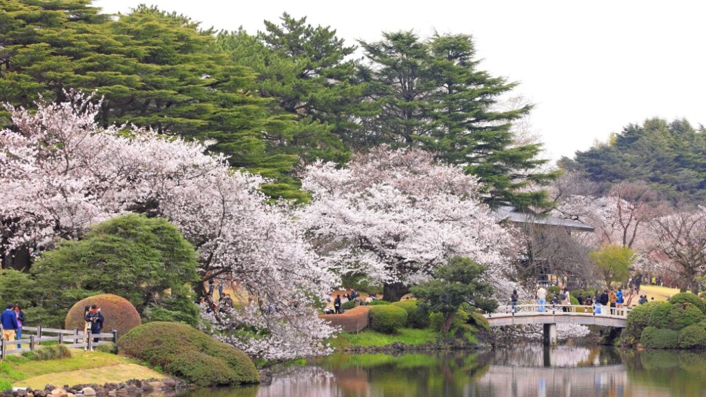 shinjuku gyoen tokyo Shinjuku Gyoen – Tokyo’nun botanik cenneti