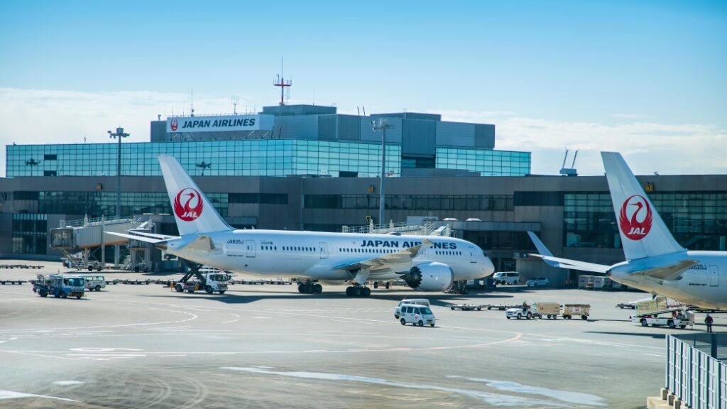 Narita Uluslararası Havalimanı (NRT)