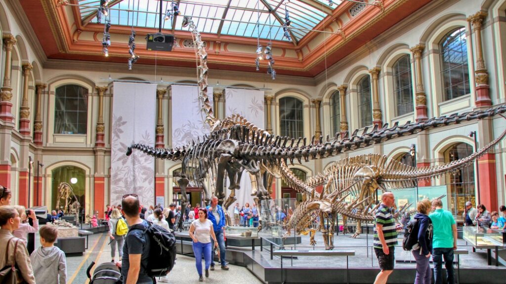 Doğa Tarihi Müzesi – Dinozorların İzinde