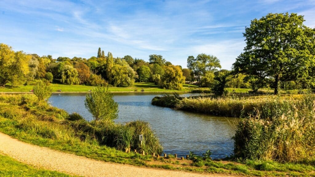 Hampstead Heath – Doğayla iç içe yürüyüş rotaları