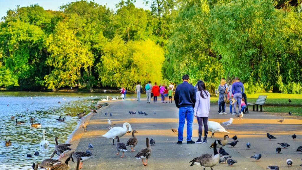 Regent’s Park – Peyzaj harikası düzenlemeleriyle zarif bir park